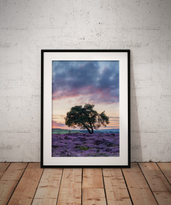 To buy a print or any of the below please click on the images